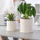 6 Inch Plant Pot: Ceramic Planter with Drainage Hole & Saucer Indoor Outdoor Plants - Cylinder Round Flower Pot for Home Office - Modern Decorative - Small White