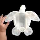 Giant Sea Turtle Silicone Mold