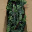 DR.DUDU 5 FT Christmas Tree with Lights, Pre-lit Artificial Xmas Trees Small Green Christmas Tree with Realistic Branch Warm LED for Home Bedroom Corner Outdoor Indoor Holiday Decorations