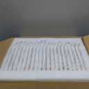 YOUKE OLA 20 Pack Glass Cups with Bamboo Lids and Glass Straw 16oz Beer Can Shaped Drinking Glasses Cups, Glass Tumbler Reusable Cute Cups for Whiskey, Iced Coffee, Tea, Soda, Cocktail, Gift, Clear