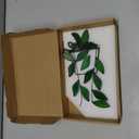 Stained Glass Window Hanging Green Plant Window Suncatcher Handcrafted Faux Plant Stained Glass Panel Sun Catcher for Plant Lovers,Unique Home Indoor&Outdoor Decor (Green)