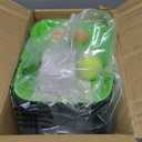 Franklin Pet Supply Co. Ready Set Fetch Automatic Tennis Ball Launcher Dog Toy - Authentic Tennis Ball Thrower - Interactive Toy (Green/Black)