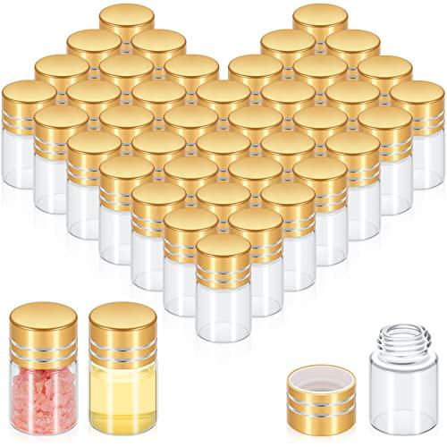 Didaey 40 Pcs Mini Glass Bottles with Screw Caps Tiny Glass Vials Small Clear Jars Empty Wishing Gift Bottles Jars Tiny Vials Containers for DIY Storage Art Craft Decor (2ml,Gold)
