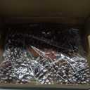 Fangoo 12Pcs 3.1-4.7in Large Natural Pine Cone Picks Snow Christmas Pine Cones with Stems for Crafts Holiday Wreath Garland Party Ornaments Flower Arrangement Fall Thanksgiving Decor (Natural White)