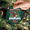 2 x 2025 Christmas Ornament  Sorry Santa I Have Been Feral Funny Naughty Holiday Ornament Gift, Xmas Tree Decoration Gift