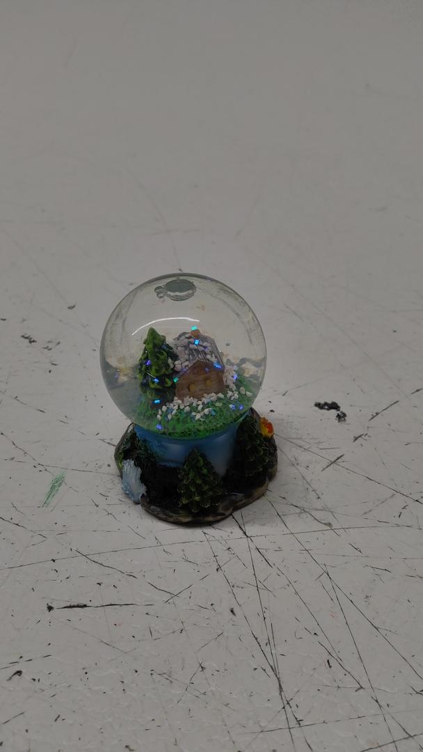 Rocky Mountain National Park Snow Globe