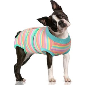 FUAMEY Recovery Suit for Dogs After Surgery,Soft Breathable Dog Bodysuit E-Collar & Cone Alternative Surgical Suit,Male Female Dog Neuter Spay Suits Anti Licking Wounds Onesie Mint Green Stripes, Size L