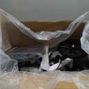 Knee ScooterKnee Scooter for Adults for Foot SurgerySteerable Knee Walker for Foot Injuries Compact Crutch Alternative with Dual Braking System (Blue)