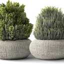 2 Pack Small Fake Plants in Cement Planter for Bathroom Decor, 6.1/5.7 Inch Artificial Plants Indoor, Small Faux Plants Indoor for Home Room Bedroom Farmhouse Kitchen Office Decor