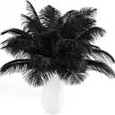THARAHT Black Ostrich Feathers 24pcs Natural Bulk 10-12Inch 25cm-30cm for Crafts Wedding Party Centerpieces Halloween and Home Decoration Feathers