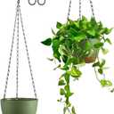 Set of 2 Hanging Planters for Indoor Outdoor Plants, 8 Inch Self-Watering Hanging Flower Pots with Drainage Hole & Removable Water-Storage Tray (Hooks) (Green)