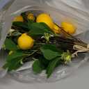 Laelfe 2 Bunches Artificial Lemons Branches Faux Lemons Fruit with Stem Fake Lemon Decoration for Kitchen Farmhouse Decor (Yellow)