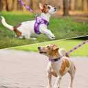 SCENEREAL Dog Harness and Leash Collar Set, Step in No Pull Soft Mesh Dog Harnesses for Dogs Puppy and Cats Outdoor Walking, No Chock Reflective Vest Harness, Purple Plaid, XS