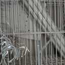 60" Heavy-Duty Wrought Iron Bird Cage-Small Bird, Parakeet & Cockatiel Cage, 20.87"L x 19.69"W x 57.87"H