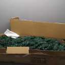 6Ft Artificial PVC Christmas Tree W/Stand Holiday Season Indoor Outdoor Green