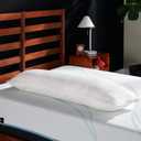 Tempur-Pedic TEMPUR-Body Pillow, Queen, White 
