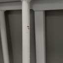 Baby Gate No Drilling, 29"-40" Auto Close Dog Gate Indoor for Doorways & Stairs, Pressure Mounted Adjustable Pet Gate, Easy Walk Through Child Gate for Children & Pets Stroller Friendly, White (29-40"Wide, 28"Tall)