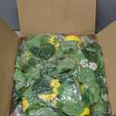 2 Pcs Artificial Lemon Garlands, 6.6 ft Faux Greenery Vines, Fake Fruit Vines with Lemons, Flowers, and Leaves, Spring Fruit Garlands for Indoor Outdoor Wedding Home Door Wall Decoration