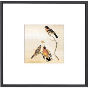 8x8 Picture Frame, Black Metal Square Photo Frames with HD Glass, Fits 5x5 With Mat or 8 x 8 Without Mat, Display for Wall and Table, 1 Pack