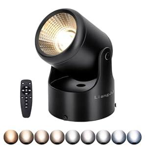 LiangJJ LED Spot Lights Indoor with Stepless Adjustable Color Temperature and Dimmable Remote 12W Up Accent Lights 6000K Floor Can Light Uplighting Indoor Spotlight for Plant and Artwork