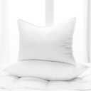 Aloe Vera Hotel Collection Gel Pillow (2 Pack) – Luxury Plush Pillows with All-Natural Pure Aloe Vera Treatment – Eco-Friendly, Hypoallergenic Infused with Soothing and Moisturizing Aloe Vera - King, King Size