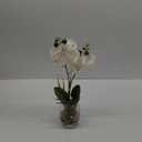 Jusdreen 1 Pcs Glass Vase Artificial Orchid Flower Bonsai Vivid Phalaenopsis Flowers Potting for Home Office Décor,Table Centerpiece Room Decorations 14.5 INCH (Glass Vase/White Orchid)