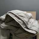 BOURINA Embroidery Quilt Set 3-Piece Oversized Queen Quilt Set Pre-Washed Microfiber Ultra Soft Lightweight Star Embroidery Bedspread Coverlet Set, Beige