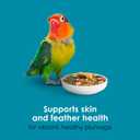 Kaytee Forti-Diet Pro Health Nourish+Protect Conure & Lovebird Food, Comprehensive Nutrition Backed by Science, Digestive Health, Immune Support, 4 pounds