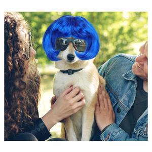 BESPORTBLE Funny Dog Cat Cosplay Wig, Pet Headwear Apparel, Trimmable Pet Wig for Small Medium Large Dogs Cosplay Accessories for Halloween Christmas Dress up Parties, Blue