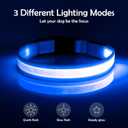 Vizpet LED Dog Collar, Light Up Dog Collar Adjustable USB Rechargeable Super Bright Safety Light Glowing Collars for Dogs(Medium,Blue)