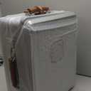 feilario 20" Aluminum Frame Wide Handle Hard Shell Carry On Suitcase - Vivid Colors Double Spinner Wheels Airline Approved Rolling Luggage with TSA Lock & Cup Holder (Silver, 20in)