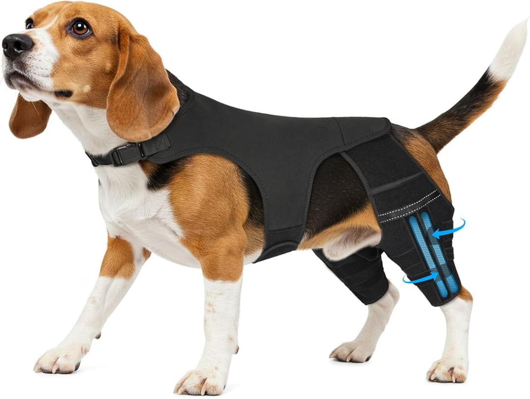 Dog Leg Braces for Torn ACL Hind Leg, with 4 Metal Stabilizers Support,Adjustable Dog Knee Braces for Back Leg, CCL, Luxating Patella, Ligament Injuries, Hip Dysplasia (Black, M)