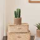 3-Pack Artificial Succulent Plants in Vintage Plastic Pots - Fake Waterproof Succulents Decor for Home, Office, Desk, Shelf - Low Maintenance Indoor Greenery for Bathroom, Living Room, Table Decor