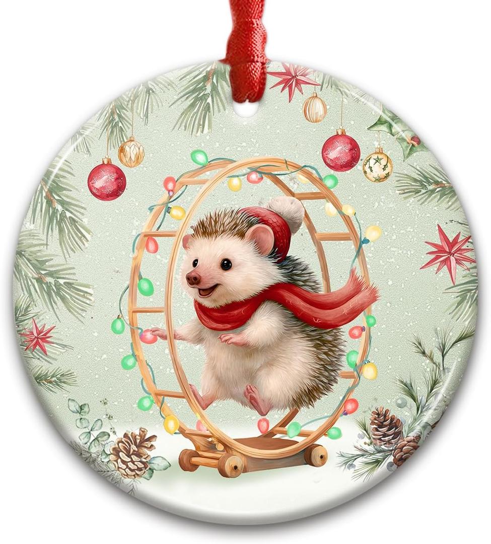 CHOANG Hedgehog Christmas Ornament 2025 - Cute Animal Ceramic Decor for Xmas Tree Hanging, Car Interior - Gift for Hedgehog Lover, Little Animal Gifts for Women, Girls, Kids