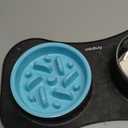 Slow Feeder Dog Bowls 3 in 1 Stainless Steel Food and Water Bowls with Non-Spill and Skid Silicone Mat to Slow Down Eating for Large Medium Small Breed Size Dogs and Cats (Dark Grey)