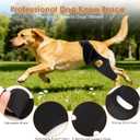 Knee Brace for Dogs for Torn ACL/CCL & Hind Leg Support, for Knee Cap Dislocation, Arthritis - Keeps The Joint Warm and Stable - Extra Support - Reduces Pain and Inflammation (M)