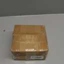 Birds 2 Pack - Cockatoo & Blue Parrot - Slap Bracelet Interactive Plush Toy Birds, They Chat-Sing-Mimic Each Other, Flap Wings, Kids 3+