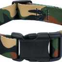 Country Brook Petz - Woodland Camo Everyday Dog Collar - Made in The U.S.A. - Camouflage Collection Featuring Rugged Design, One Size