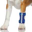 Dog Front Leg Brace: Adjustable Splint for Ankle, Front Leg, Ankle, Fore Limb, Sprain Wrap with Removable Metal Springs and Reflective Edge, for Arthritis, Sprains, and Injury Support(L)