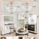 20" Gold Shell Crystal Ceiling Fan with Light,Modern Caged Fandelier