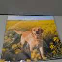 2026 Calendar, Wall Calendar 2026, Dogs 12 Month Wall Calendars (Jan - Dec 2026) 12" x 24" Opened, Hanging Monthly Calendar Thick Paper for Kids Family Adults Office Home