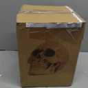 READAEER Life Size Resin Skull, Large Size Adult Skull Head Model for Home Decoration, Halloween Skull Statue, Human Skull Head Model (White)