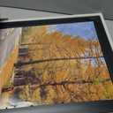 16x20 Picture Frame for 16 x 20 Poster/Photo/Print, Shatter-Resistant Real Glass Wall Display (Black and Ornate Gold Design, 1-Pack)
