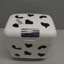 Cooluli Skincare Mini Fridge for Bedroom - Car, Office Desk & Dorm Room - Portable 4L/6 Can Electric Plug In Cooler & Warmer for Food, Drinks, Beauty & Makeup, 12v AC/DC & Exclusive USB, Cow Print