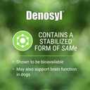 Nutramax Laboratories Denosyl for Dogs, Liver and Brain Health Supplement for Medium Dogs, with S-adenosylmethionine (SAMe), Stabilized Tablets, 30 Count