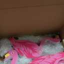 30 Pcs Summer Beach Pink Flamingo Yard Signs with 60 Stakes 4 Styles Flamingo Lawn Signs for Indoor Outdoor Home Decorations Tropical Yard Lawn Patio Accessories Party Supplies