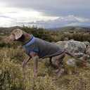 Lelepet Fleece Dog Sweater Zip Up Dog Fleece Jacket Reflective Warm Sweatshirt for Cold Weather Soft & Lightweight Pet Sweater Vest for Puppy Small Medium Large Dogs(XS-3XL) (Gray)