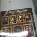 TURNER PHOTOGRAPHIC Gallery Animalia 12x12 Photo Wall Calendar (26998013007)