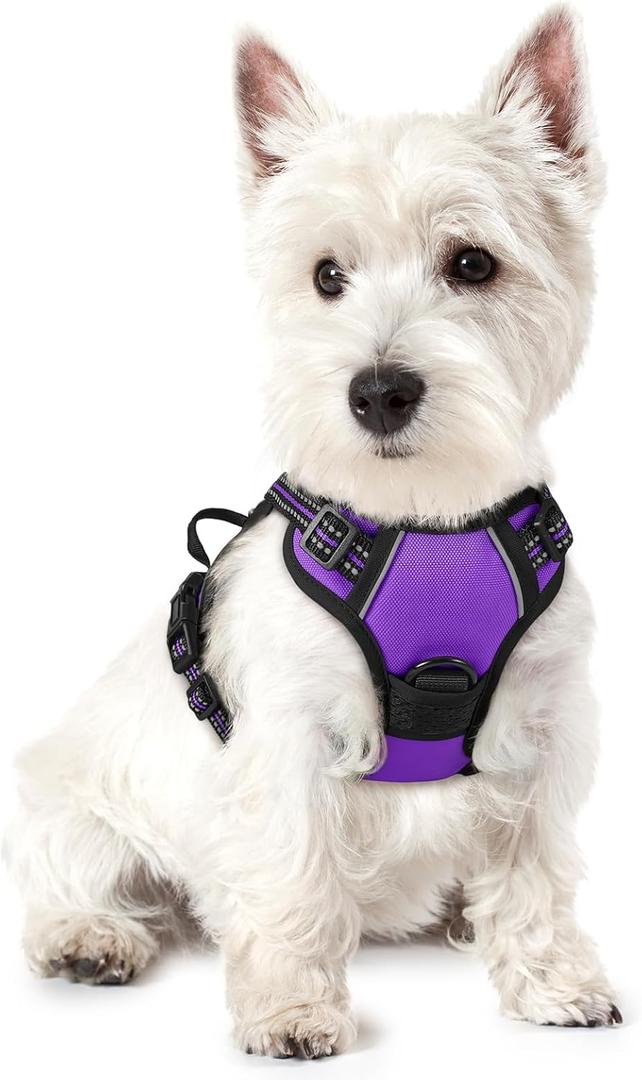 rabbitgoo Dog Harness No Pull with 2 Leash Clips, Adjustable Soft Padded, Reflective Oxford No Choke Pet Vest with Easy Control Handle for Puppy, Purple, XS