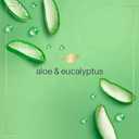 Dove Foaming Hand Wash 4 Count Aloe & Eucalyptus Protects Skin from Dryness, More Moisturizers than the Leading Ordinary Hand Soap, 10.1 oz